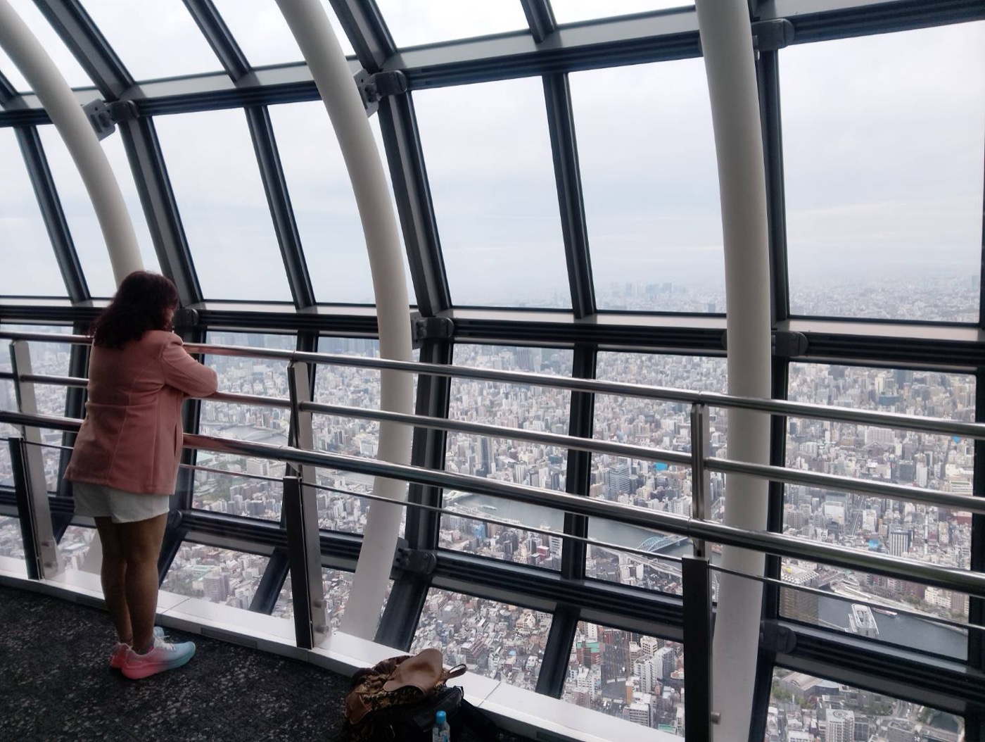 Tokyo: Private Tokyo Skytree Tour with Entry Ticket